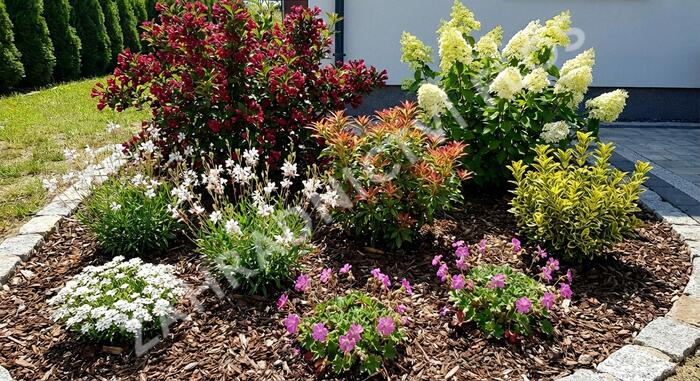 Kombinovaný záhon na slunce Keřová zahrada - Keřová zahrada