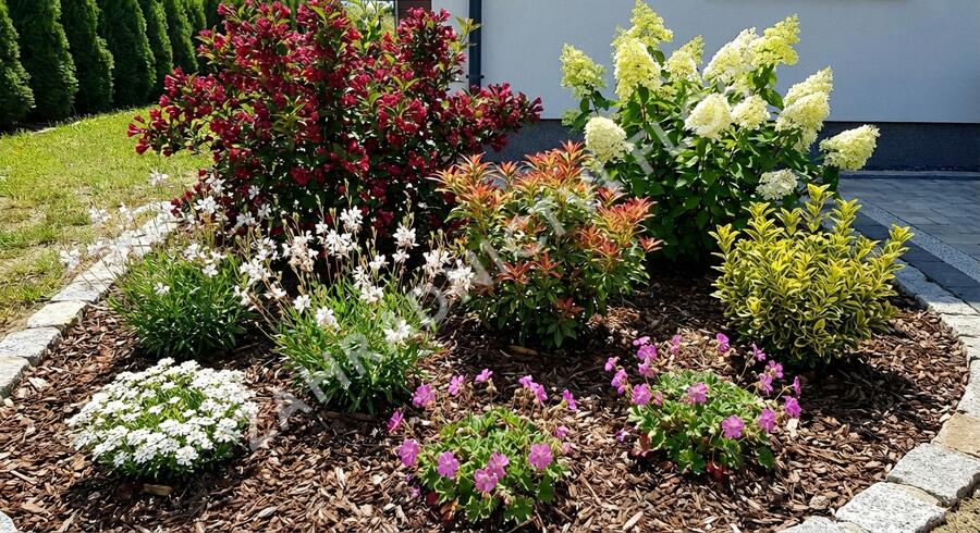 Kombinovaný záhon na slunce Keřová zahrada - Keřová zahrada