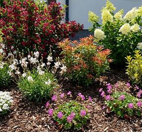 Kombinovaný záhon na slunce Keřová zahrada