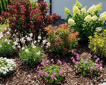 Kombinovaný záhon na slunce Keřová zahrada