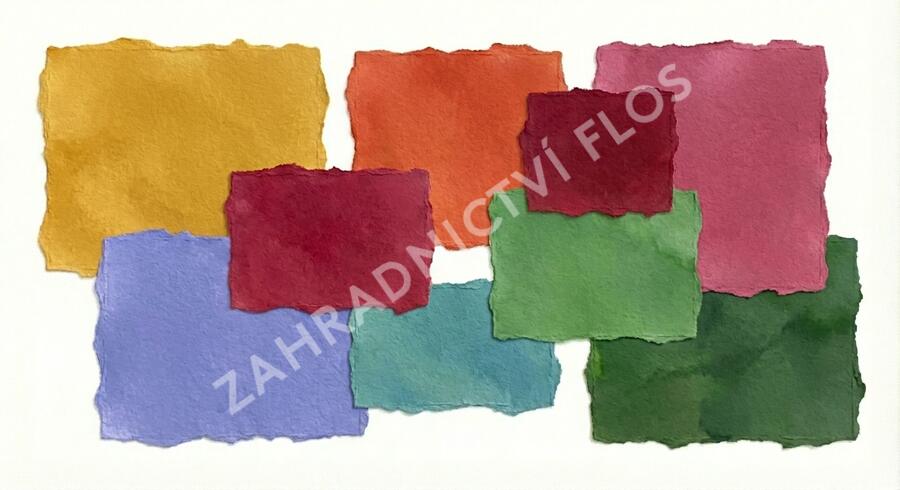 Trvalkový záhon na slunce Květinový kaleidoskop - Květinový kaleidoskop