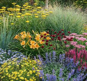 Trvalkový záhon na slunce Květinový kaleidoskop - Květinový kaleidoskop
