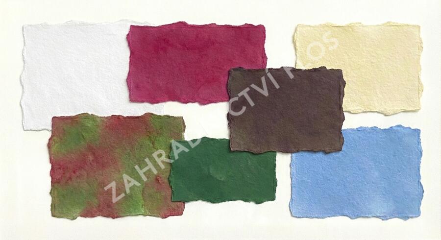 Trvalkový záhon do stínu Lesní pohádka - Lesní pohádka