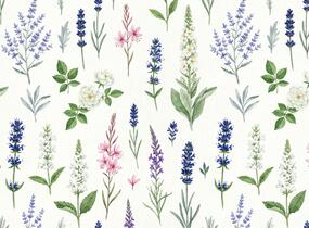 Trvalkový záhon na slunce Léto v Provence - Léto v Provence