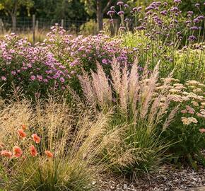 Trvalkový záhon na slunce Moderní luční zahrada