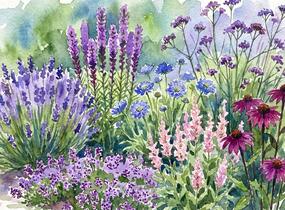 Trvalkový záhon na slunce Oáza hmyzu - Oáza hmyzu