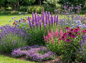 Trvalkový záhon na slunce Oáza hmyzu - Oáza hmyzu