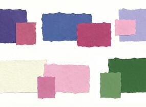 Trvalkový záhon do polostínu Polostinná zahrada - Polostinná zahrada