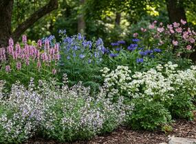 Trvalkový záhon do polostínu Polostinná zahrada - Polostinná zahrada