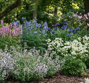 Trvalkový záhon do polostínu Polostinná zahrada