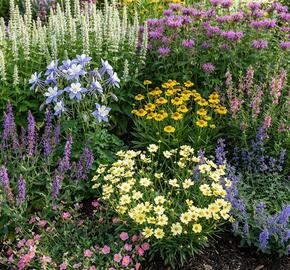 Trvalkový záhon na slunce Ráj včel