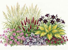 Trvalkový záhon do polostínu Rubínový závoj - Rubínový závoj