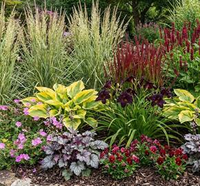 Trvalkový záhon do polostínu Rubínový závoj