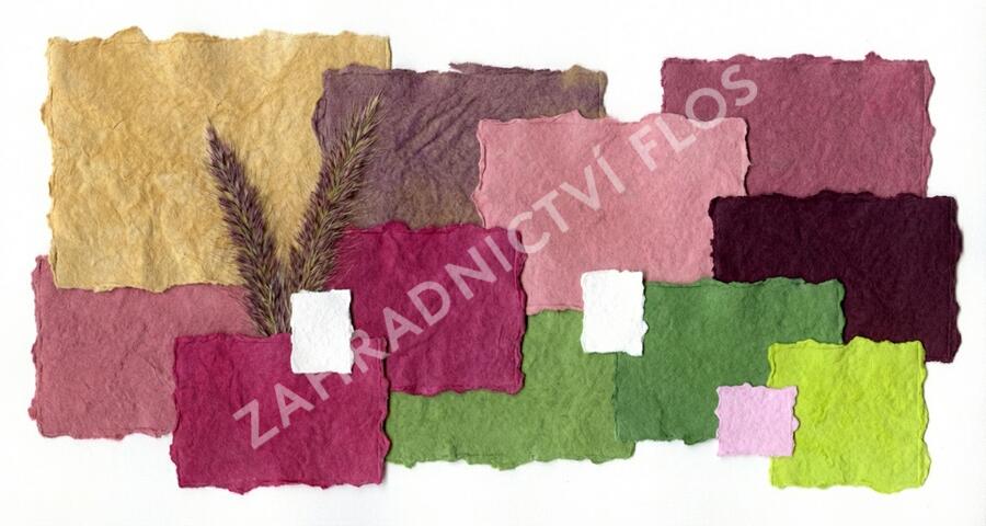 Trvalkový záhon do polostínu Růžový balet - Růžový balet