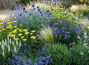 Trvalkový záhon na slunce Slunečná obloha - Slunečná obloha