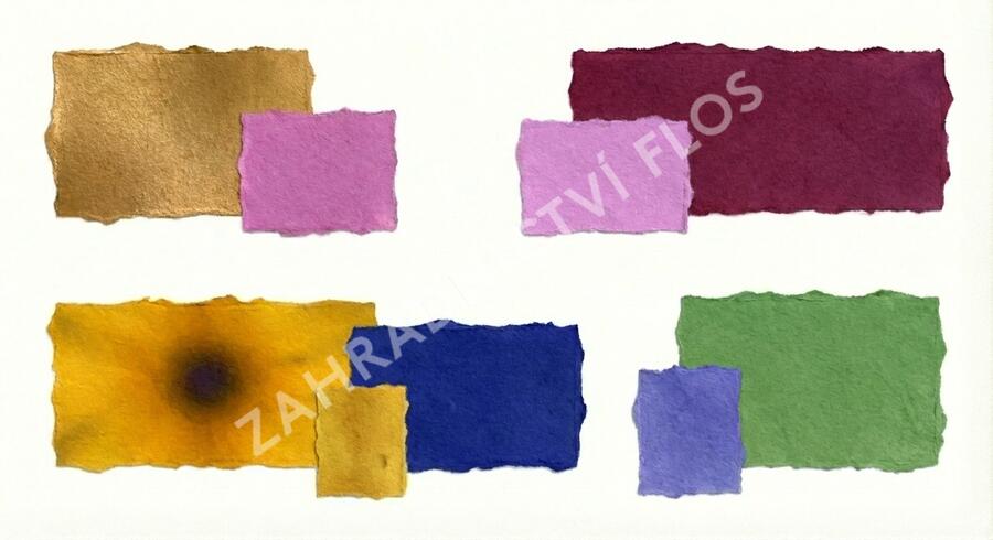 Trvalkový záhon na slunce Slunečné léto - Slunečné léto