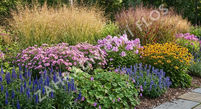 Trvalkový záhon na slunce Slunečné léto - Slunečné léto