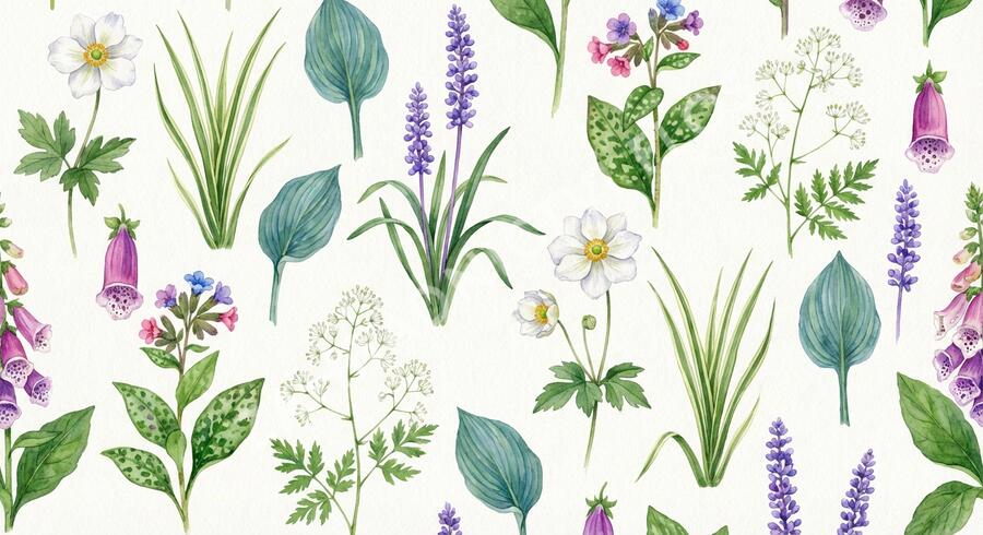 Trvalkový záhon do stínu Stinné místo - Stinné místo