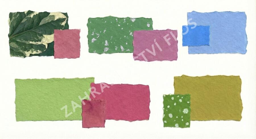 Trvalkový záhon do stínu Stinný klid - Stinný klid