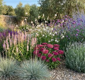 Kombinovaný záhon na slunce Středomořská zahrada