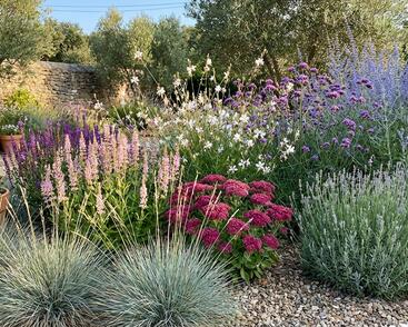 Kombinovaný záhon na slunce Středomořská zahrada