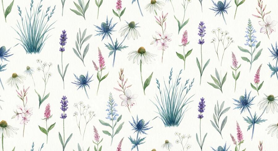 Trvalkový záhon na slunce Stříbrný nádech - Stříbrný nádech