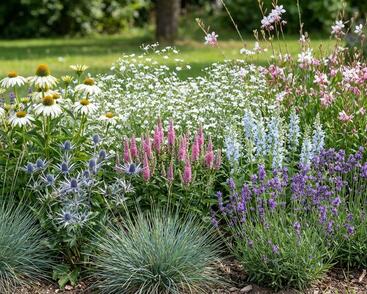 Trvalkový záhon na slunce Stříbrný nádech