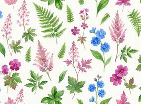 Trvalkový záhon do stínu Svah ve stínu - Svah ve stínu