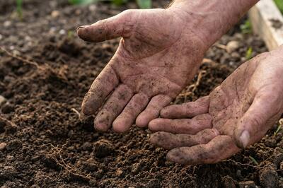 Zahradničení jako lék na psychiku
