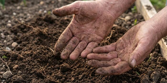 Zahradničení jako lék na psychiku