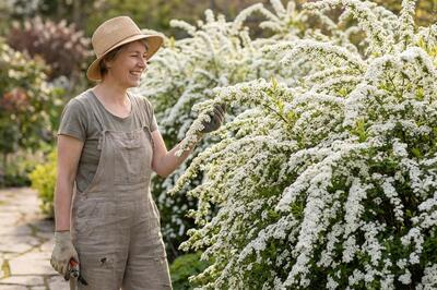 Tyto keře stříhejte po odkvětu