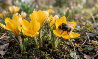 Generated Image March 31, 2026 - 9_32AM.jpg