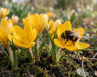 Generated Image March 31, 2026 - 9_32AM.jpg