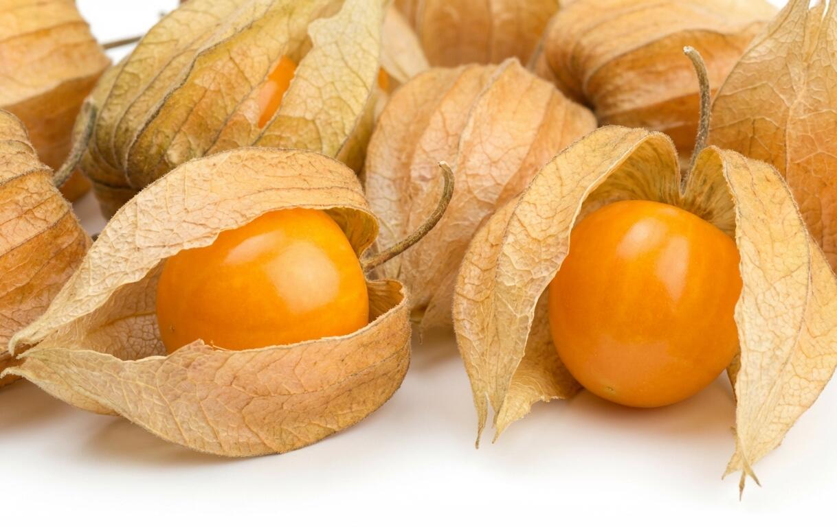 Mochyně peruánská 'Goldvital Maxi' - Physalis peruviana 'Goldvital Maxi'