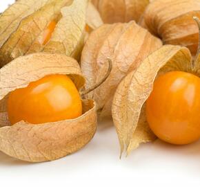 Mochyně peruánská 'Goldvital Maxi'