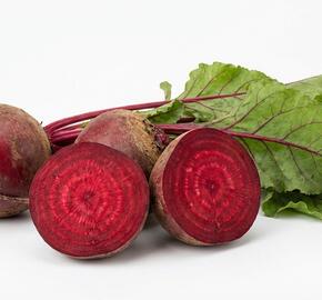 Řepa salátová 'Betina'