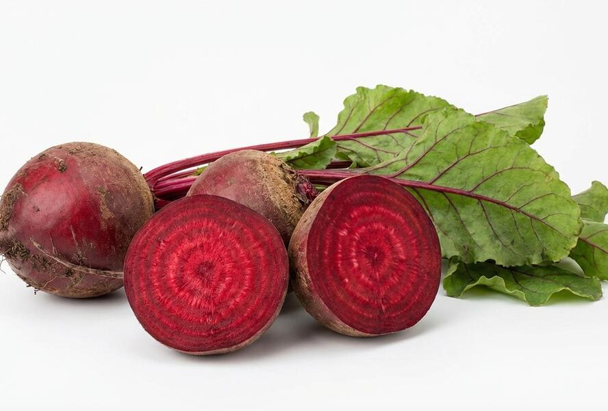 Řepa salátová 'Betina' - Beta vulgaris var. vulgaris 'Betina'