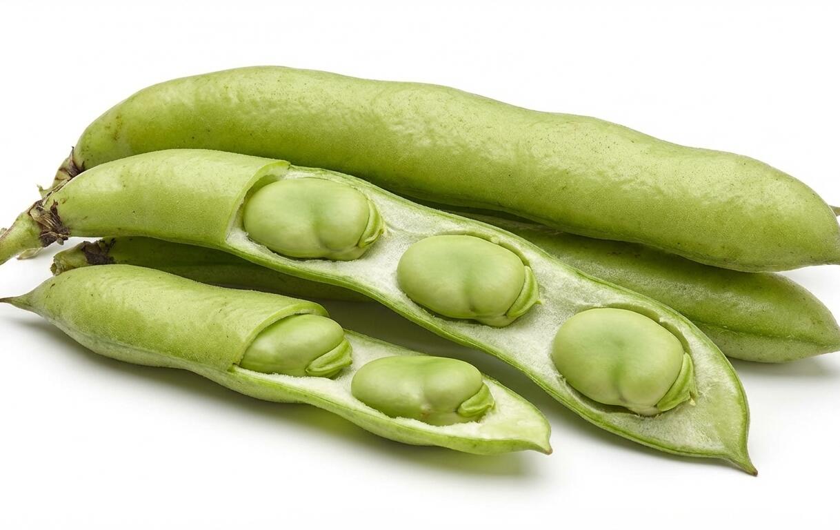 Bob zahradní 'Superaguadulce' - Vicia faba subsp. major 'Superaguadulce'