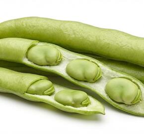 Bob zahradní 'Superaguadulce'