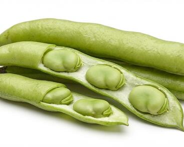 Bob zahradní 'Superaguadulce'