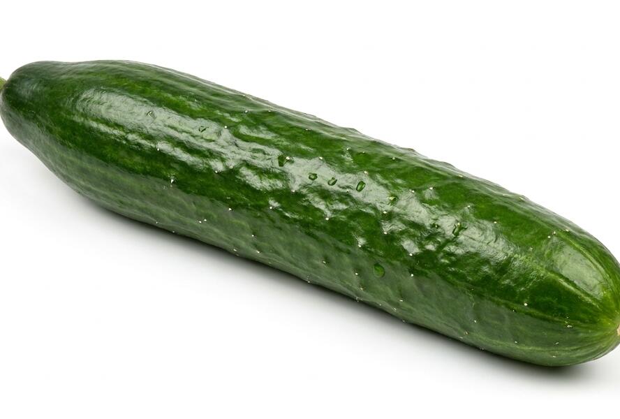 Okurka salátová polní 'Gynial' F1- roubovaná - Cucumis sativus 'Gynial' F1 - roubovaná