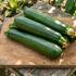 Cucurbita pepo v. giromontina 'Kimber' .jpg