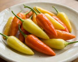 Paprika chilli okrasná 'Foxta'