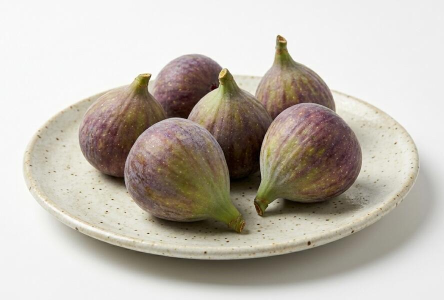 Fíkovník smokvoň 'Peretta' - Ficus carica 'Peretta'