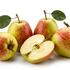 Malus domestica 'Česká pochoutka'.jpg
