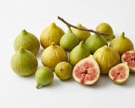 Fíkovník smokvoň 'Ficcolino'