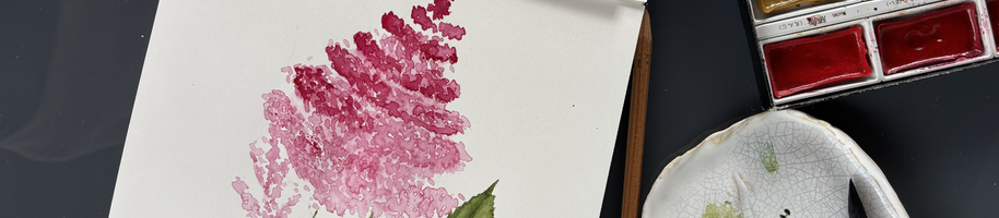 čechrava astilbe