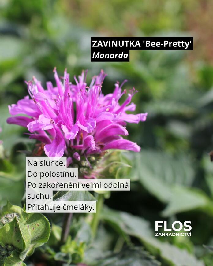 zavinutka pro opylovače