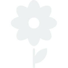 Begónie hlíznatá 'Rosana Champagner' - Begonia tuberhybrida 'Rosana Champagner'