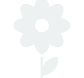 Kakost 'Bloom Time - Geranium wallichianum 'Bloom Time'